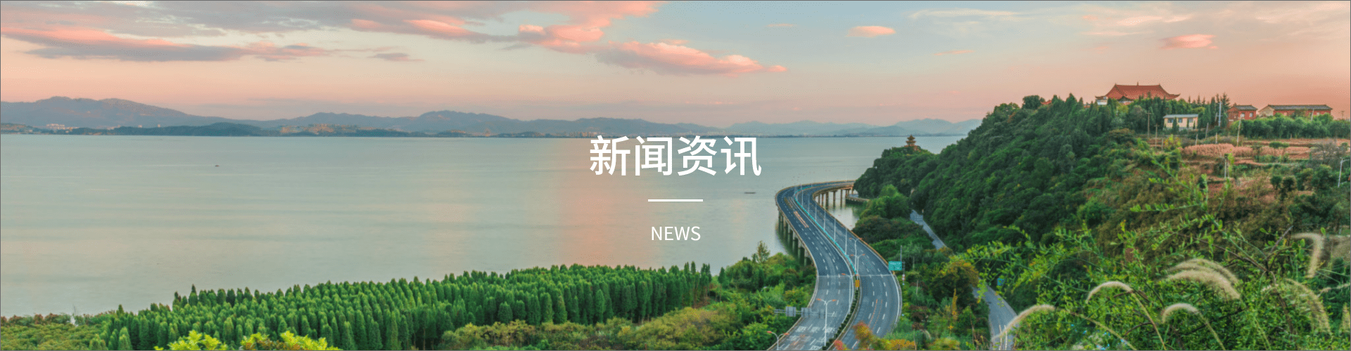 新闻资讯
